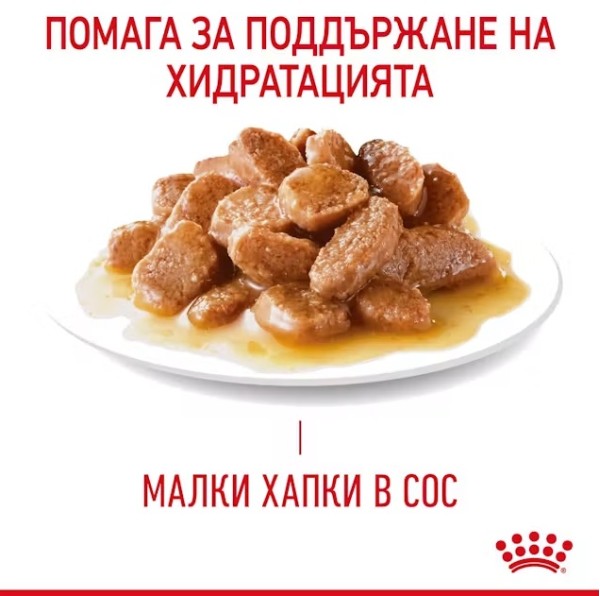 Royal Canin Appetite Control - Пълноценна мокра храна за котки над 12 месеца за контрол на апетита